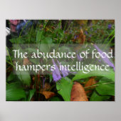 ラテン・ウィズダム引用文・インテリジェンスの緑のポスター ポスター (正面)