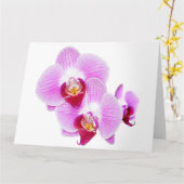 ラディアントオーキッドクローズアップ花の写真 カード (黄色い花)