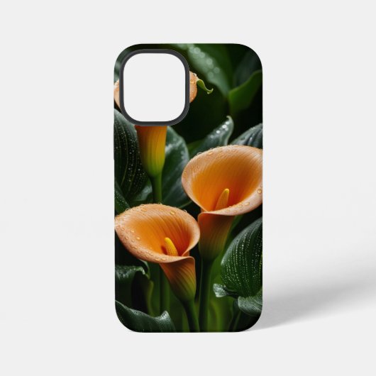 ラディアントカラエレガンス iPhoneケース (裏面)