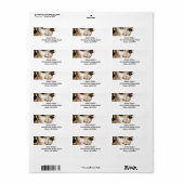 ラディアントロイヤリティ：ダイバ風のドライツラベル ラベル (フルシート)