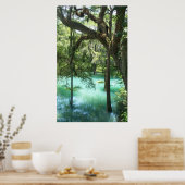 ラディウム春ズFlint River GA ポスター (キッチン)