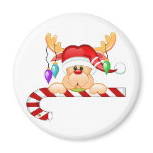 ラディキャンディーケーン