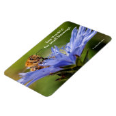 ラディッキオの花の花のミツバチ マグネット (左側)