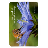 ラディッキオの花の花のミツバチ マグネット (縦)