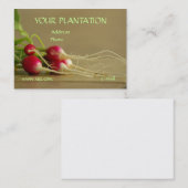 ラディッシュの名刺 名刺 (正面/裏面)