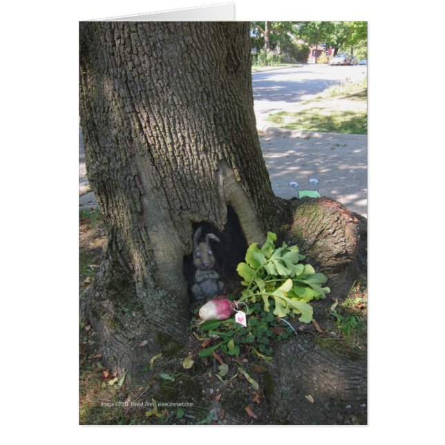 ラディッシュGifting (正面)