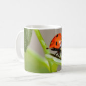 ラディバキスをするグ コーヒーマグカップ (正面左)