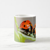 ラディバキスをするグ コーヒーマグカップ (中央)