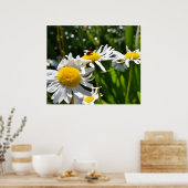 ラディバグとデイジー ポスター (キッチン)