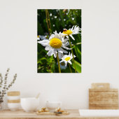 ラディバグとデイジー ポスター (キッチン)