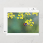 ラディバグに向かう ポストカード (正面/裏面)