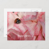 ラディバグのはがき ポストカード (正面/裏面)