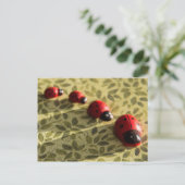 ラディバグのはがき ポストカード (スタンド正面)