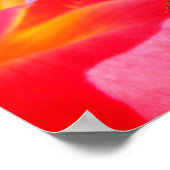 ラディバグのバラポスター ポスター (角)