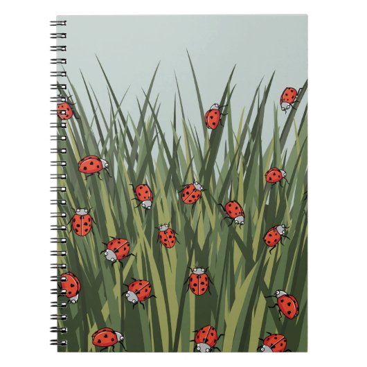 ラディバグのラディバードパターン ノートブック (正面)