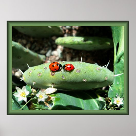 ラディバグの愛 ポスター (正面)