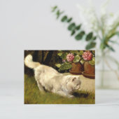 ラディバグを見る白いペルシャ猫 ポストカード (スタンド正面)