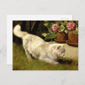 ラディバグを見る白いペルシャ猫 ポストカード (正面/裏面)