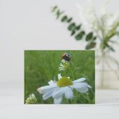 ラディバグオンデイジーフラワーDIYポストカード ポストカード (スタンド正面)