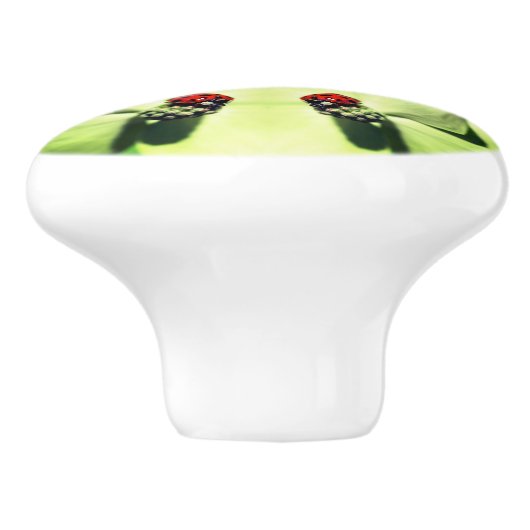 ラディバグオンドッグウッド抽象芸術自然アート セラミックノブ (側面)