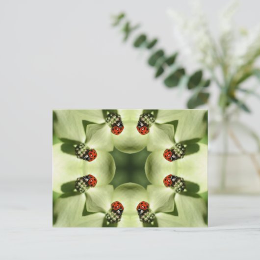 ラディバグオンフラワー万華鏡のように千変万化するパターンアートハガキ ポストカード (スタンド正面)