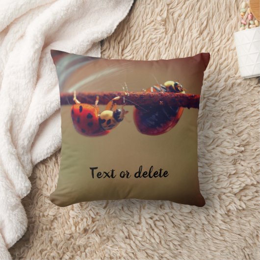 ラディバグスバランパーソナライズされたシング クッション (ブランケット)