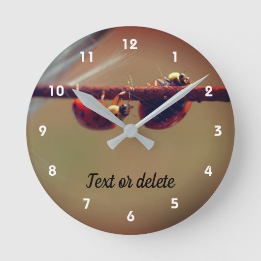 ラディバグズのバランスのクローズアパーソナライズされたップ ラウンド壁時計 (正面)