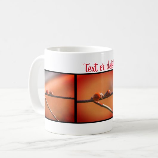 ラディバグトリオ自然パーソナライズされた撮影 コーヒーマグカップ (正面左)