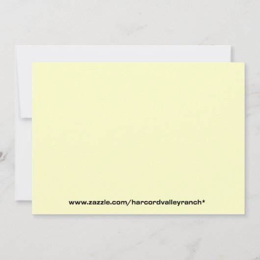 ラディバグバス (裏面)