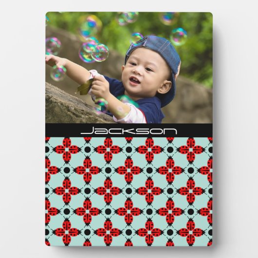 ラディバグパターン フォトプラーク (正面)