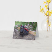 ラディバグベビー カード (黄色い花)