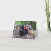 ラディバグベビー