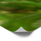 ラディバグポスター ポスター (角)