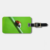 ラディバグ写真 ラゲッジタグ (正面横)