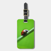 ラディバグ写真 ラゲッジタグ (正面縦)