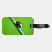 ラディバグ写真 ラゲッジタグ (裏面横)