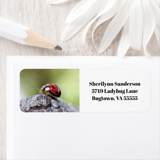 ラディバグ写真 ラベル (インサイチュ)