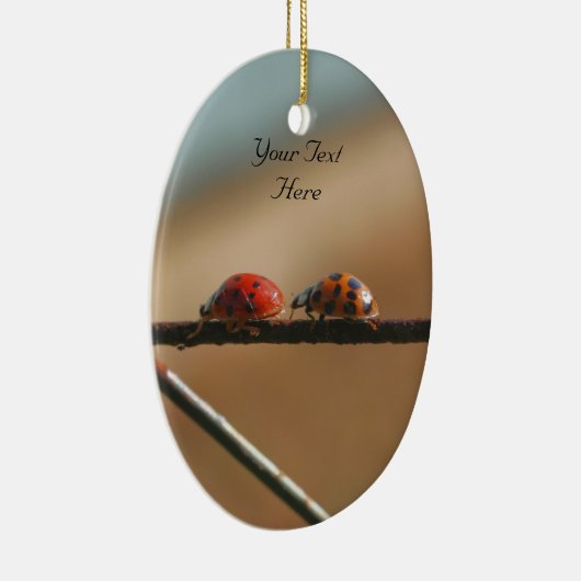 ラディバグ後を追スリーダキュート自然オーナメント セラミックオーナメント (右)