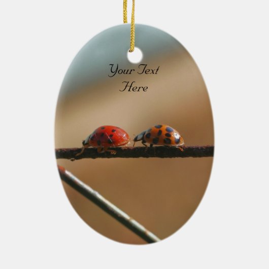 ラディバグ後を追スリーダキュート自然オーナメント セラミックオーナメント (裏面)