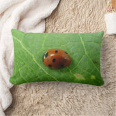 ラディバグ枕 ランバークッション (ブランケット)