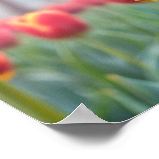 ラディバグ自然カラフルワイルドライフセレネトランブル ポスター (角)