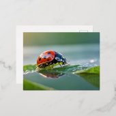 ラディバグ自然カラフルワイルドライフセレネトランブル 箔シーズンポストカード (正面/裏面)