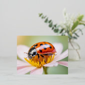 ラディバグ自然カラフルワイルドライフセレネトランブル 箔シーズンポストカード (立ち正面)