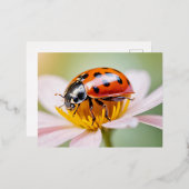 ラディバグ自然カラフルワイルドライフセレネトランブル 箔シーズンポストカード (正面/裏面)