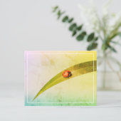 ラディバグ葉 ポストカード (スタンド正面)