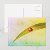 ラディバグ葉 ポストカード (正面/裏面)