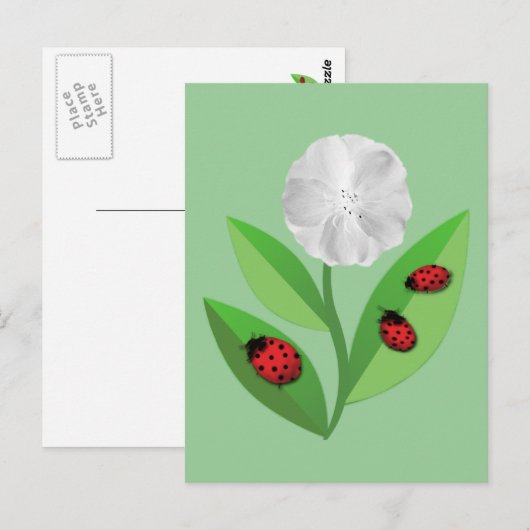 ラディバグ3 ポストカード (正面/裏面)