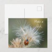 ラディバグ・ウィッシュ・ポストカード ポストカード (正面/裏面)