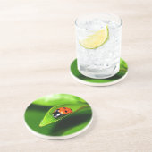 ラディバグ コースター (側面)