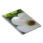 ラディバグ ノートブック (右側)